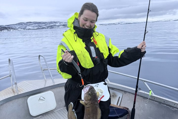 Private Fishing Tour Tromso Open Boat