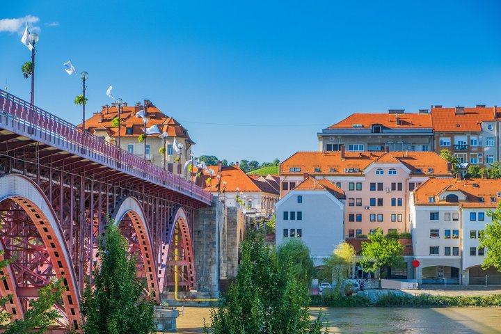 Private Walking Tour Maribor Old Vine and Historic Squares