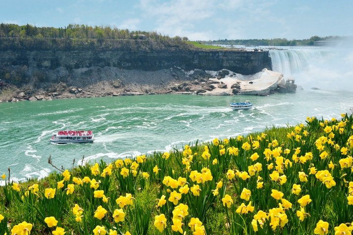 NYC to Niagara Falls 1-Day Tour: Flight and Land-Airfare Included