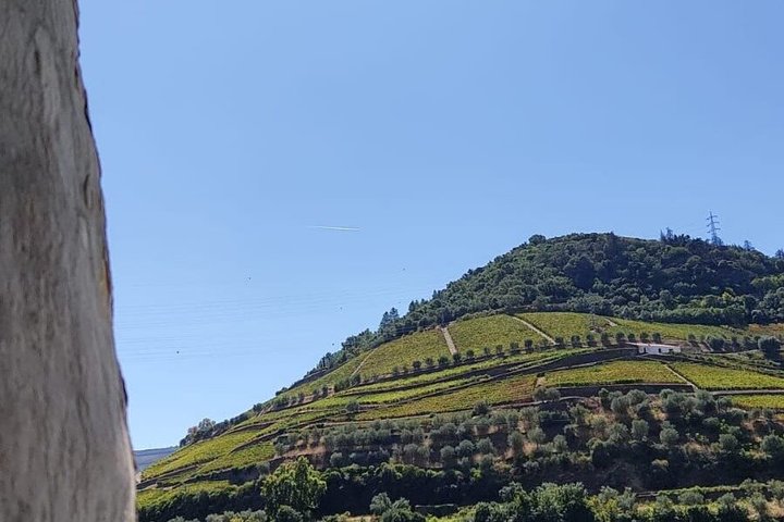 Douro Valley to Lisbon with Coimbra, Fatima, Tomar, Nazaré, Óbidos