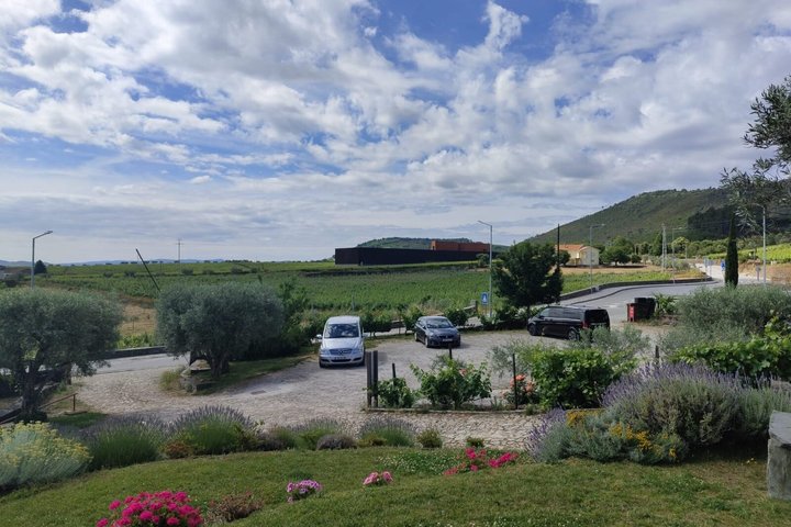 Douro Valley to Lisbon with Coimbra, Fatima, Tomar, Nazaré, Óbidos