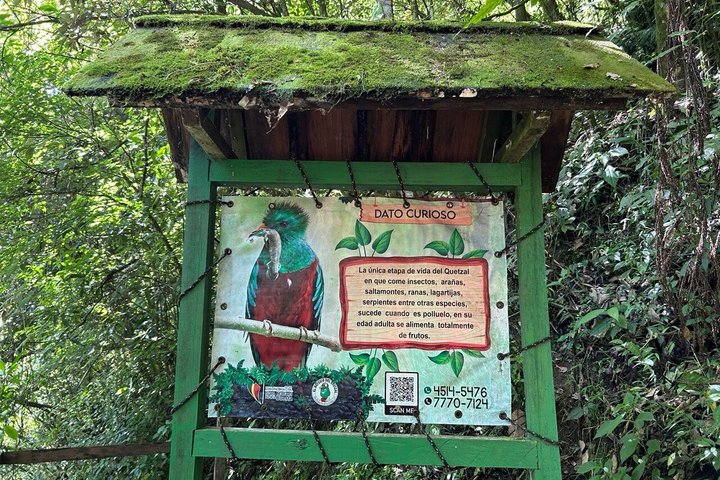 Quetzal Refuge Tour and Overnight in Mayan Village - Two Days