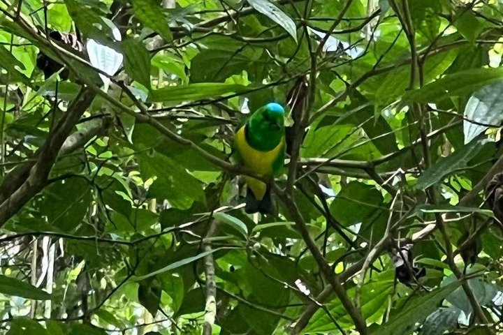 Quetzal Refuge Tour and Overnight in Mayan Village - Two Days