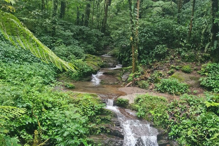 Quetzal Refuge Tour and Overnight in Mayan Village - Two Days