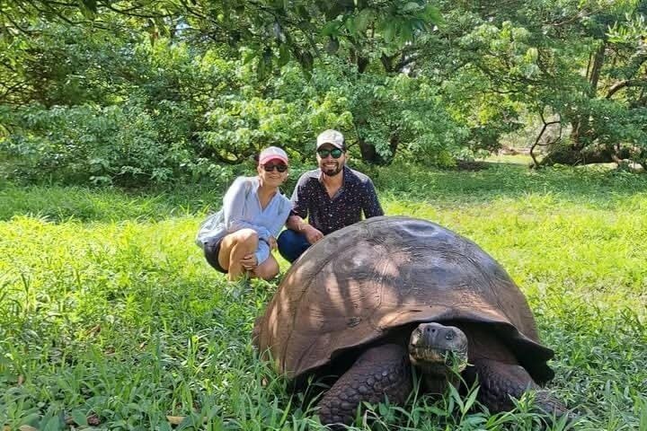 Giant Tortoises Tour, Lava Tunnels & Stop at Los Gemelos Craters”