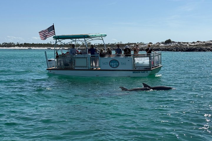 Shell Island Snorkel And Dolphin Sightseeing