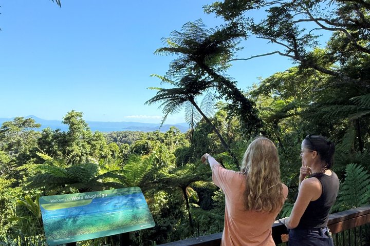 Daintree Rainforest, Mossman Gorge Small-Group from Port Douglas