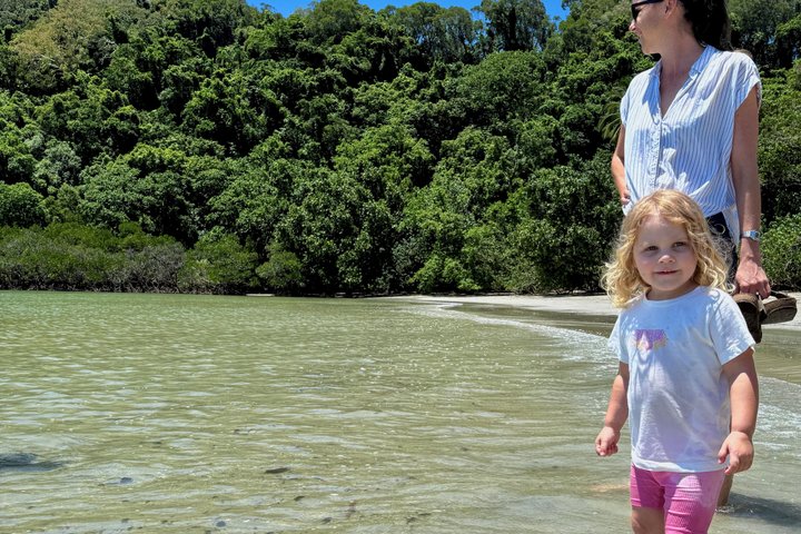 Daintree Rainforest, Mossman Gorge Small-Group from Port Douglas