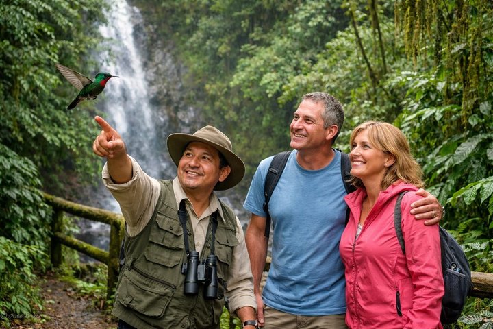 Mindo Cloud Forest: Hummingbirds, Birding & Waterfall Tour
