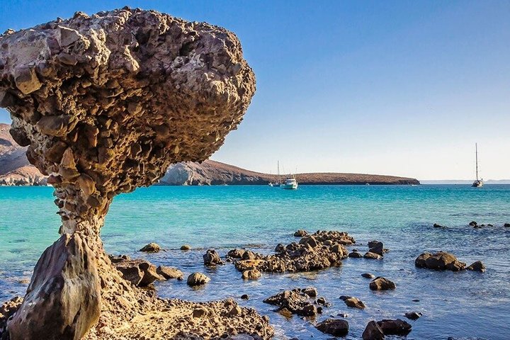 Isla Espiritu Santo and Balandra All Inclusive Tour