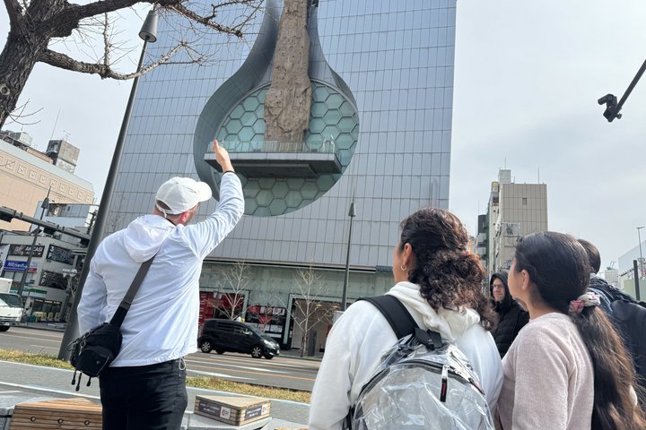 Osaka Kickstart: Hotspots & Hidden Gems Tour