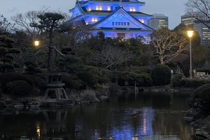 Osaka Kickstart: Hotspots & Hidden Gems Tour