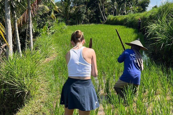 Tetebatu Private Trek Rice Fields Waterfall and Monkey Forest