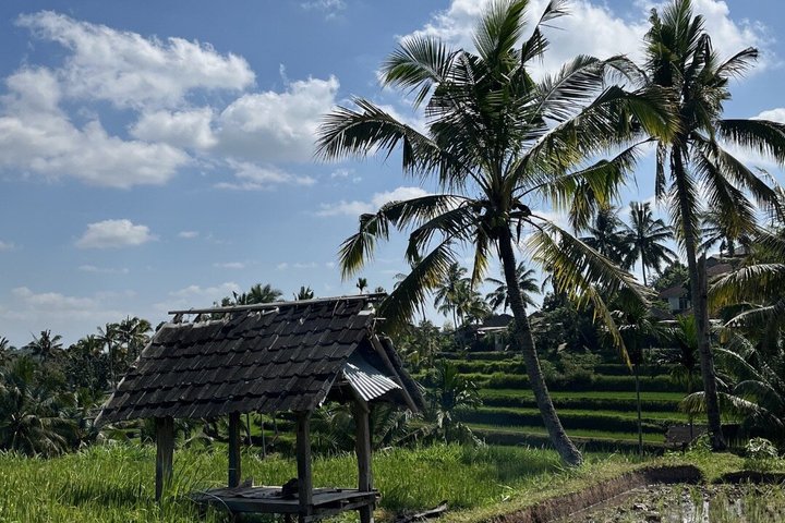 Tetebatu Private Trek Rice Fields Waterfall and Monkey Forest