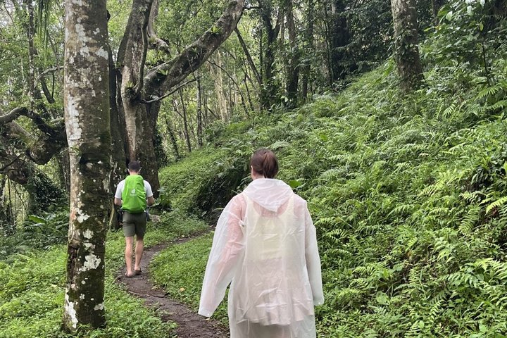 Tetebatu Private Trek Rice Fields Waterfall and Monkey Forest