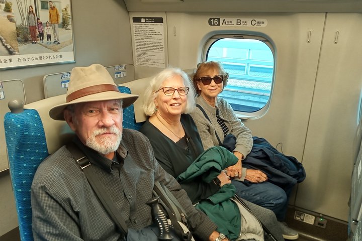 Best of Tokyo Private Tour from Yokohama & Tokyo Ports or Hotels