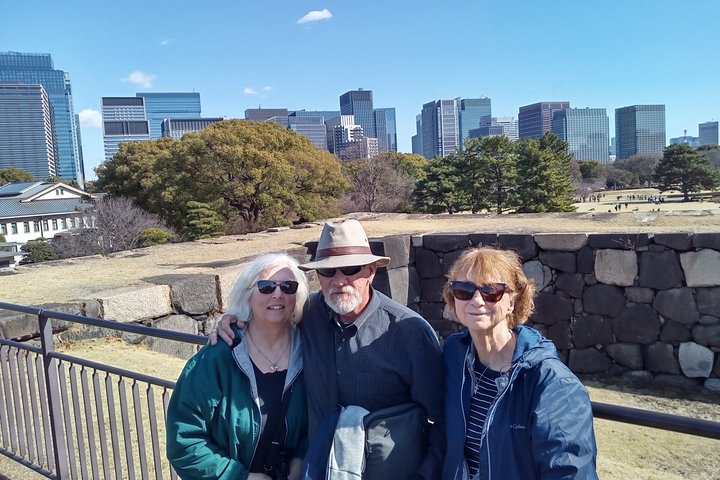 Best of Tokyo Private Tour from Yokohama & Tokyo Ports or Hotels