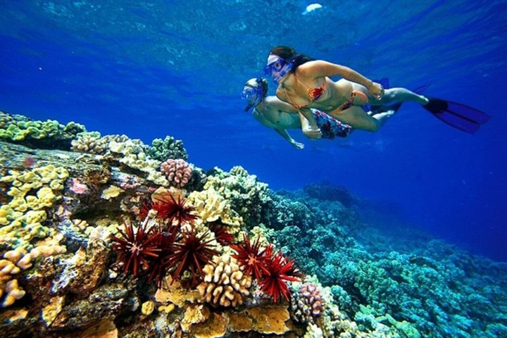 Luxury Yacht: Ras Mohammed & White Island, Lunch & Snorkel