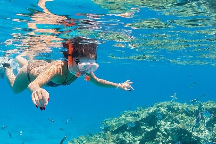 Luxury Yacht: Ras Mohammed & White Island, Lunch & Snorkel