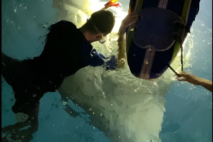 Manta Ray Night Snorkel at Kona, Big Island