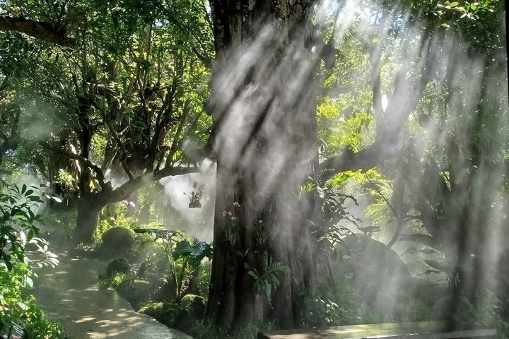 Visit Dantewada(Angel Land), Blue Temple, and Sticky Waterfall