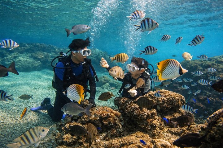 Try Scuba Diving diving at the Blue Cave in Onna Village, Okinawa