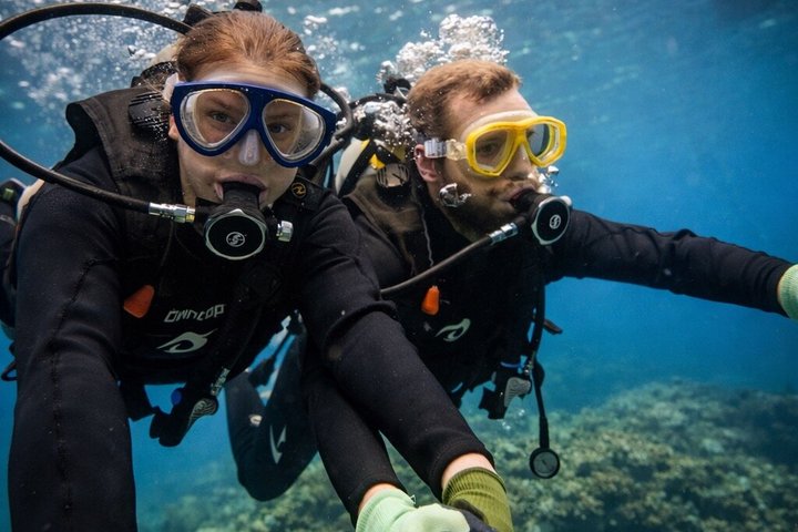 Try Scuba Diving diving at the Blue Cave in Onna Village, Okinawa