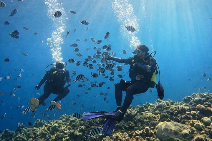 Try Scuba Diving diving at the Blue Cave in Onna Village, Okinawa