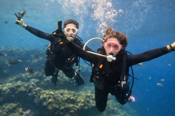 Try Scuba Diving diving at the Blue Cave in Onna Village, Okinawa