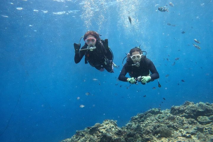 Try Scuba Diving diving at the Blue Cave in Onna Village, Okinawa