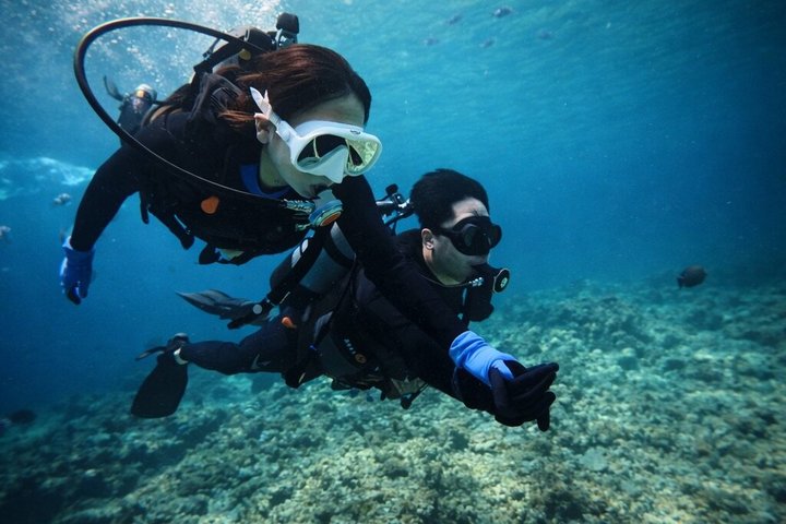Try Scuba Diving diving at the Blue Cave in Onna Village, Okinawa