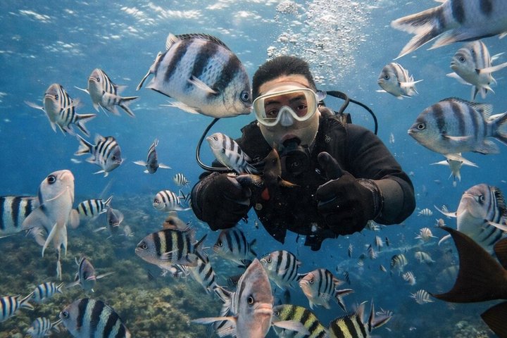 Try Scuba Diving diving at the Blue Cave in Onna Village, Okinawa