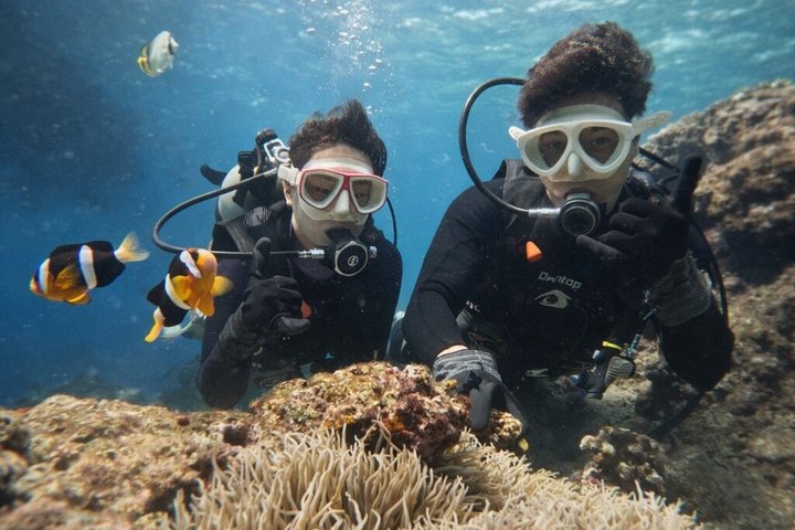 Try Scuba Diving diving at the Blue Cave in Onna Village, Okinawa
