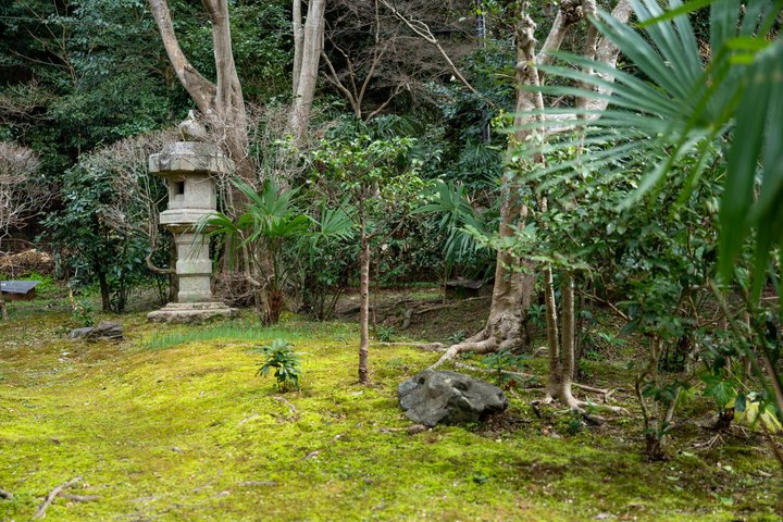 Uji Matcha Tasting & Tea Ceremony with Former Geiko + Uji Walk