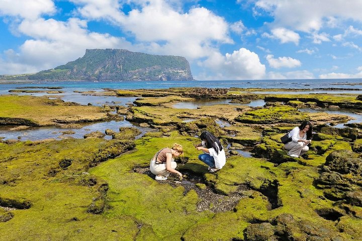 Jeju Tour | Jungmun & Seogwipo Pick-up | Seongsan, Haenyeo, Cave