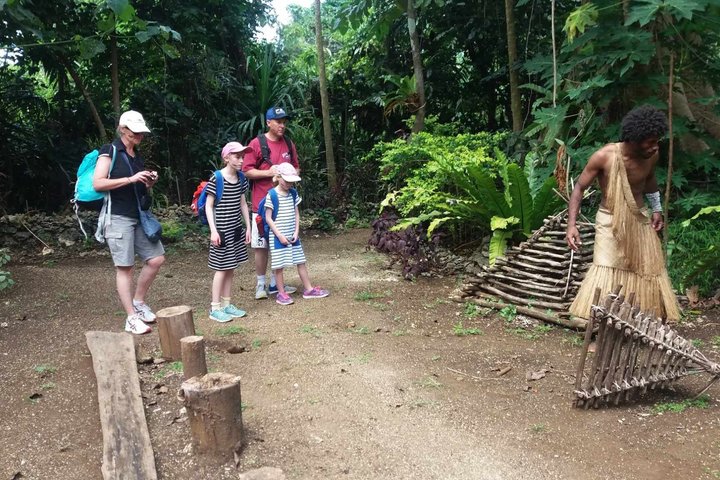 Efate Island Tour – Village, Turtles, Blue Lagoon & Eden River