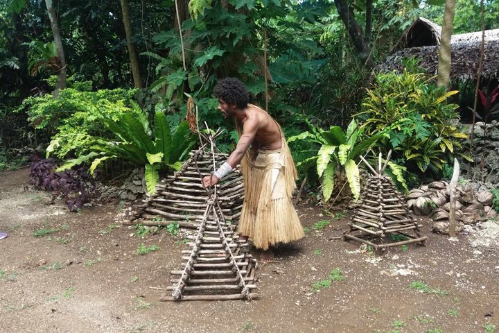 Efate Island Tour – Village, Turtles, Blue Lagoon & Eden River