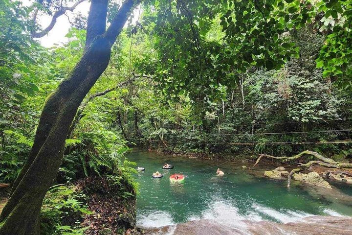 Efate Island Tour – Village, Turtles, Blue Lagoon & Eden River