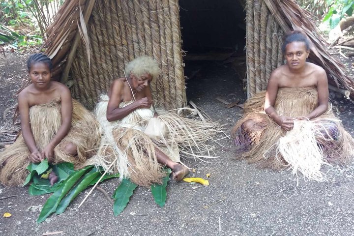 Efate Island Tour – Village, Turtles, Blue Lagoon & Eden River