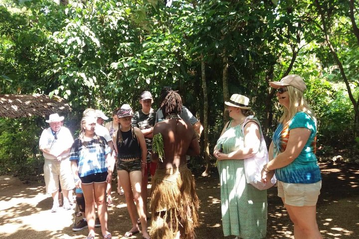 Efate Island Tour – Village, Turtles, Blue Lagoon & Eden River