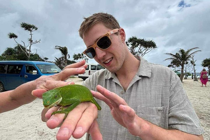 Efate Island Tour – Village, Turtles, Blue Lagoon & Eden River