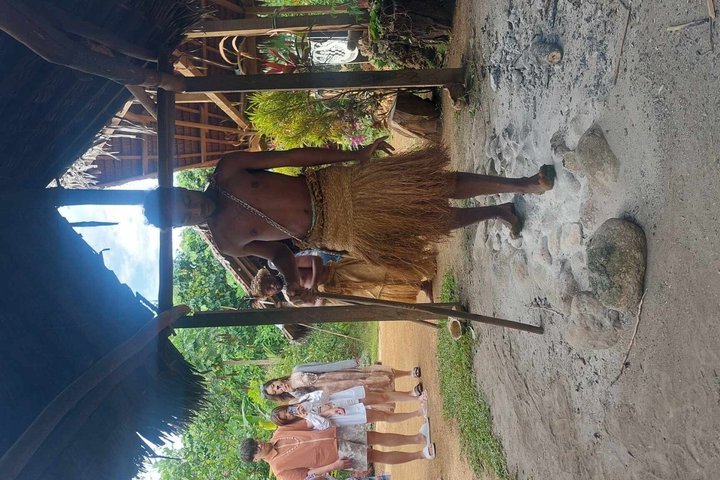 Efate Island Tour – Village, Turtles, Blue Lagoon & Eden River