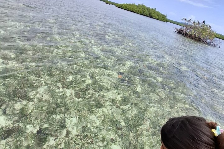 Bocas del Toro Boat Tour Zapatilla Snorkeling and Island Hopping