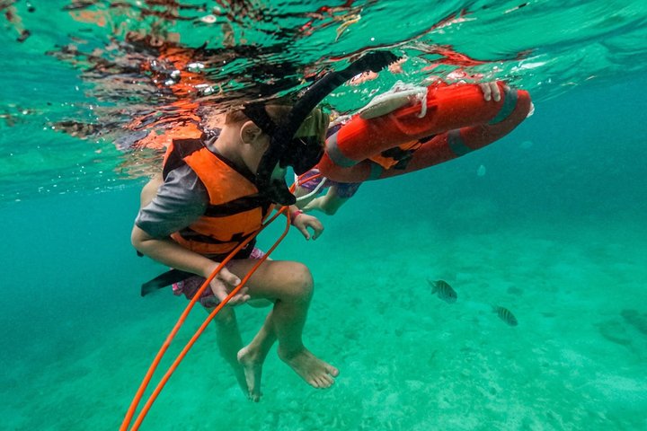 Private Tour to Tulum, Cenote and Swimming with Turtles