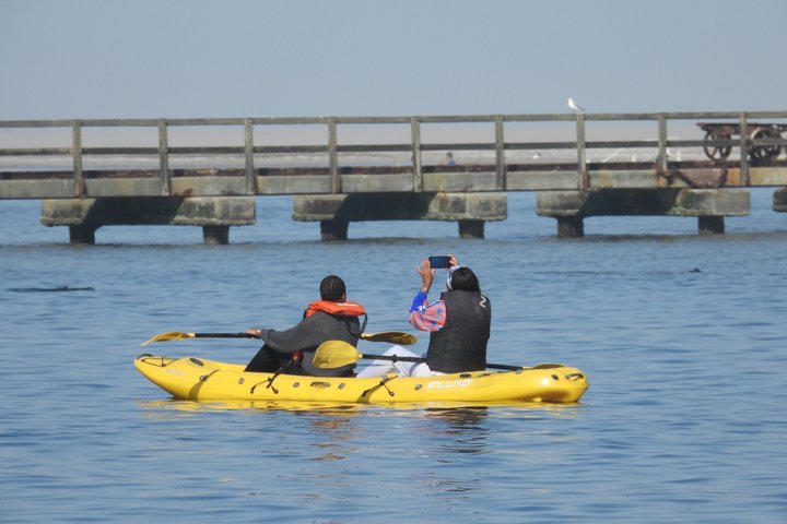 Seal Kayaking & Sandwich Harbour Tour