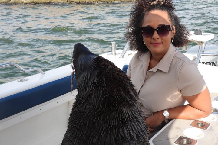 Dolphin and Seal Catamaran Cruise