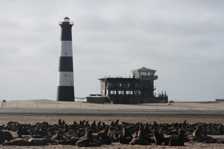 Sandwich Harbour Adventure Seals and Sandwich harbour dune drive