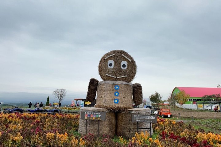 Hokkaido: Biei Blue Pond and Furano Flower Farm Day Trip