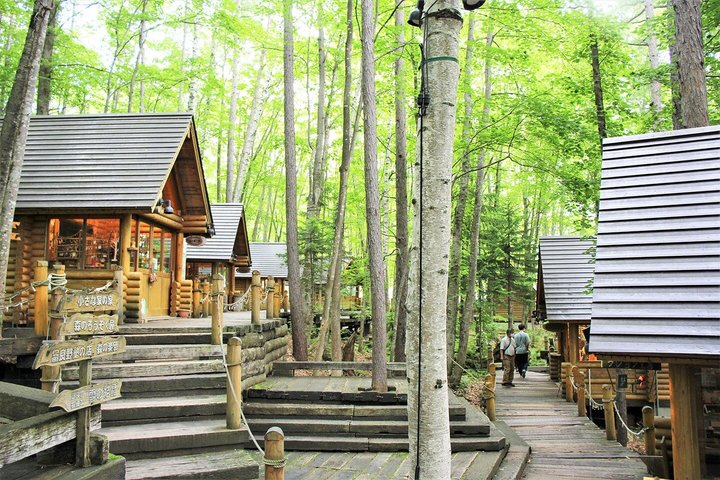 Hokkaido: Biei Blue Pond and Furano Flower Farm Day Trip