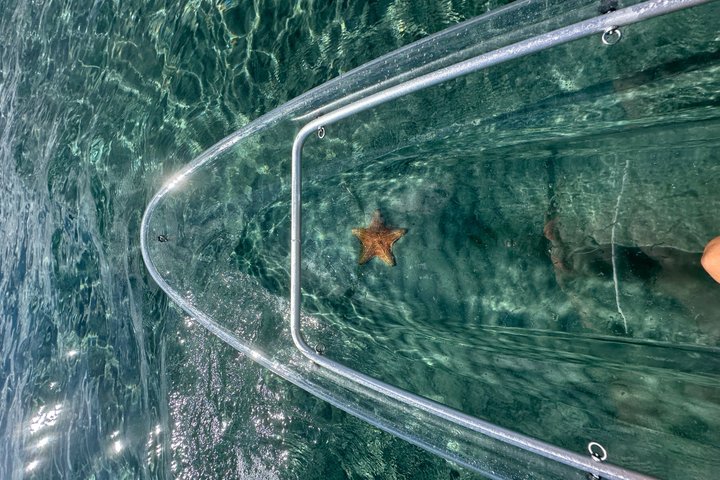Clear Kayak Peanut Island Guided Tour Palm Beach Singer Island